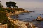 monterey04_small.jpg